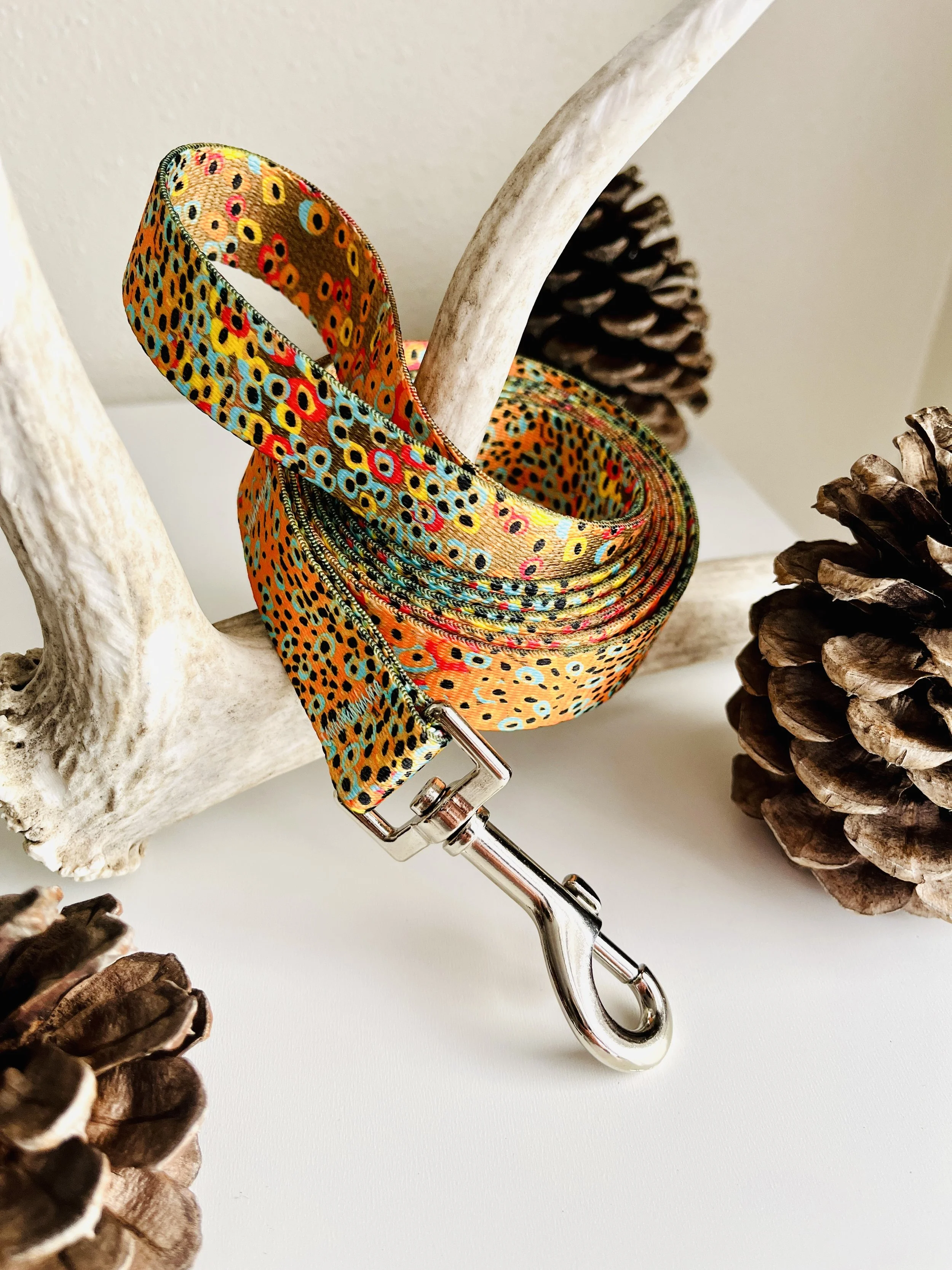 Webbing Dog Leash — KINTLA COUTURE + WILDARTNESS